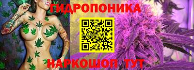 дурь Можайск