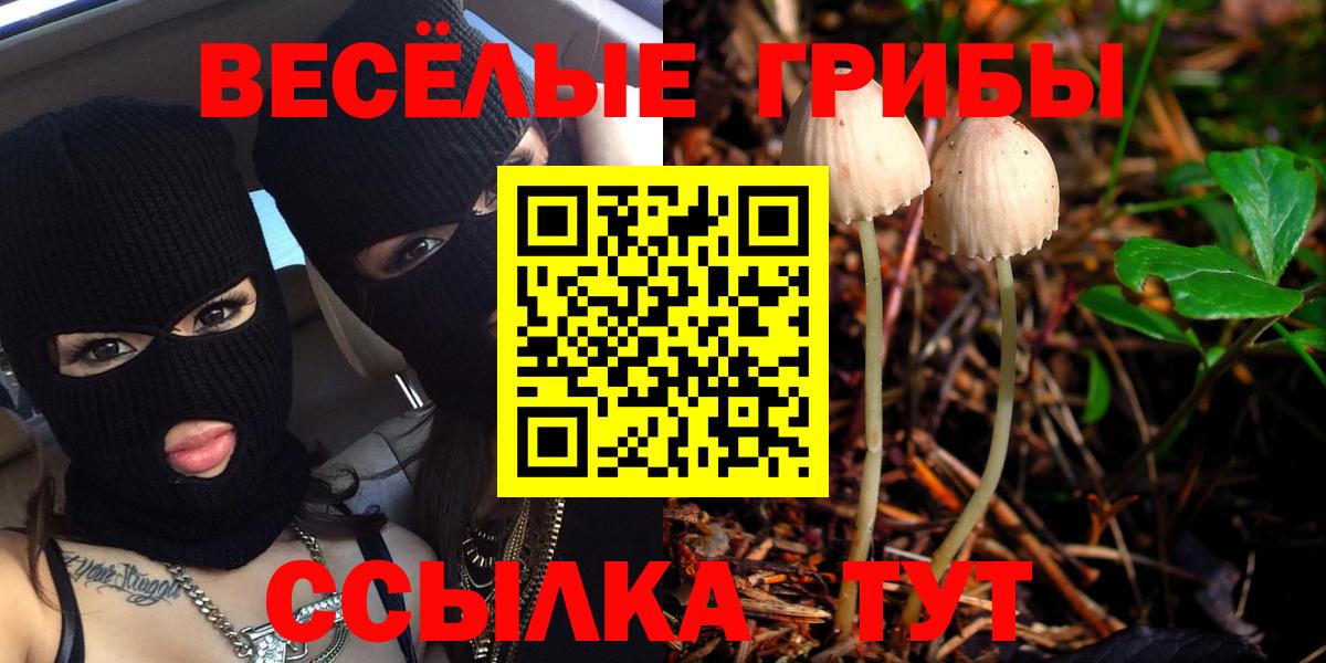 Будённовск  Псилоцибиновые грибы мицелий  Вход с VPN  Галлюциногенные грибы GOLDEN TEACHER 