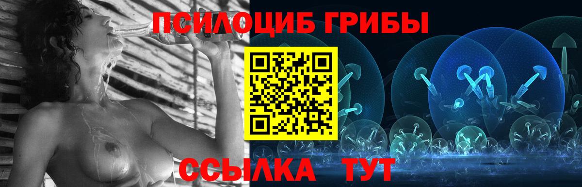 Галлюциногенные грибы Psilocybine cubensis Будённовск