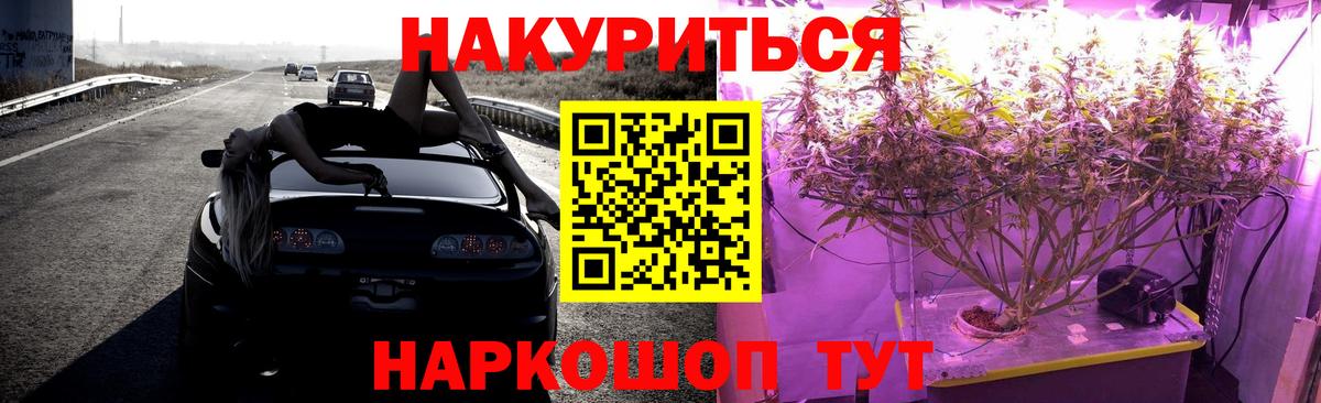 Каннабис White Widow  Вход с VPN  Будённовск  Канабис план 